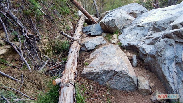 The trail goes through here BuckingTrailObstructions-5