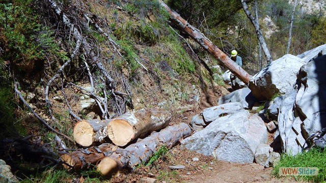 Lots more work to do! BuckingTrailObstructions-6