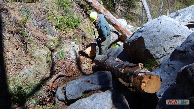 Rock bars for leverage! BuckingTrailObstructions-8