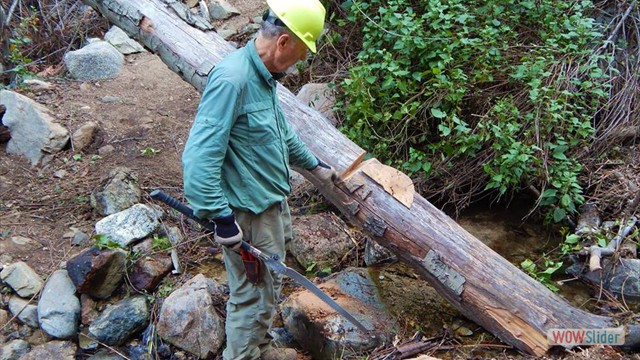 Hand saw bucking hard work! BuckingTrailObstructions-9