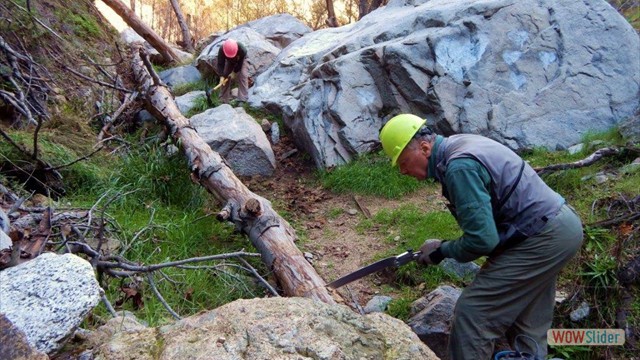 Dawn Mine Brenda And Thurman