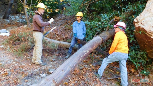 Dawn Mine Bucking Safety Review