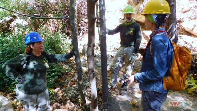 Dawn Mine Crew Again