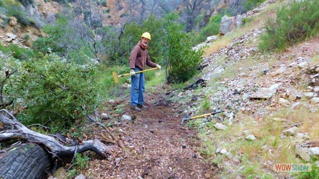 Dawn Mine Dave