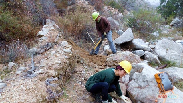 Dawn Mine Dave And Soyoung