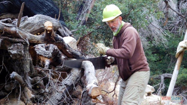 Dawn Mine Dave Bucking A Mess Dawn Mine Dave Bucking A Mess