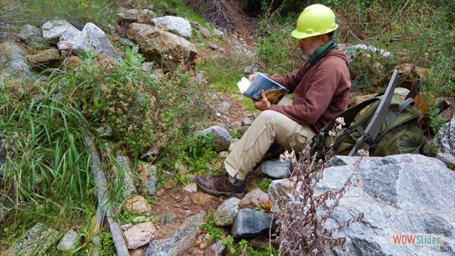 Dawn Mine Dave Coding Plants 