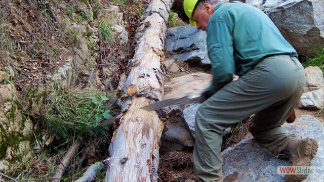 Dawn Mine Hand Saw Dawn Mine Hand Saw