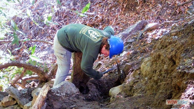 Dawn Mine Lauren Rock Work