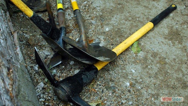 Dawn Mine Picks