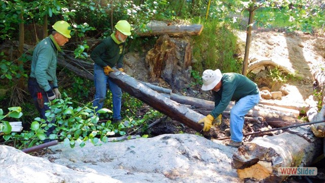 Dawn Mine Removing Bucked Sections
