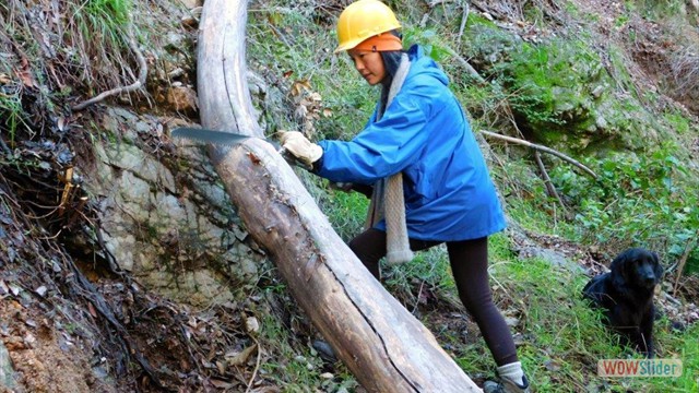 Dawn Mine Sawing Dawn Mine Sawing