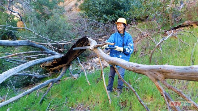 Dawn Mine Soyoung sawing Dawn Mine Soyoung sawing