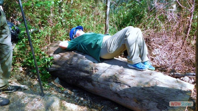 Dawn Mine Taking a Nap