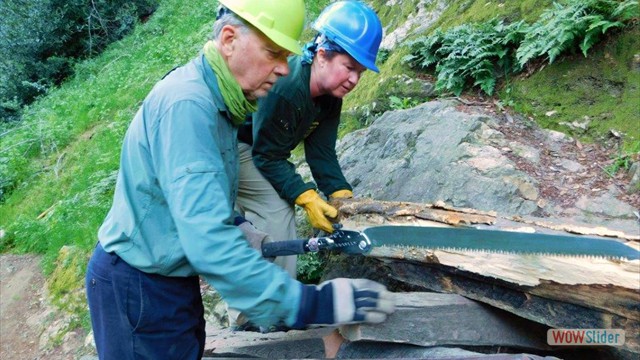 Dawn Mine Thurman And Lauren Long Saw Dawn Mine Thurman And Lauren Long Saw