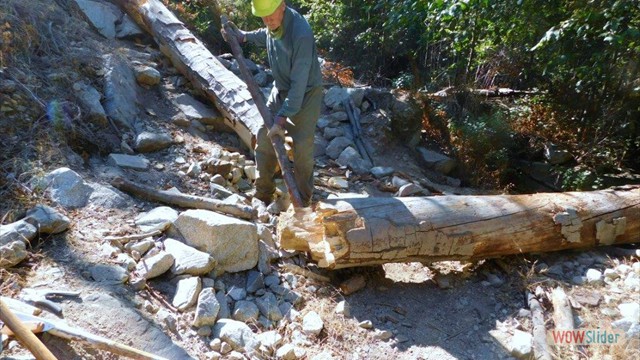 Dawn Mine Thurman using limb lever