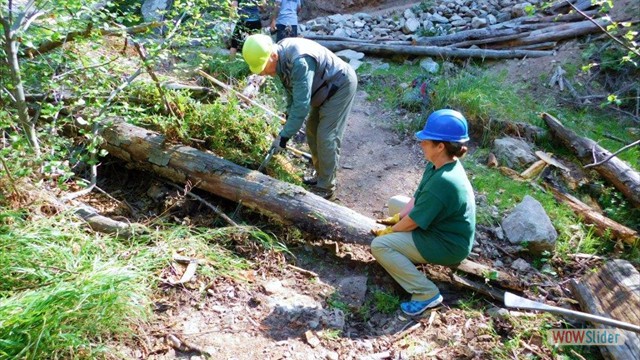 Dawn Mine Tree Obstructions
